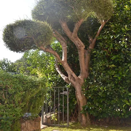 Via Arno - Fbu-mazzu01 Lägenhet
